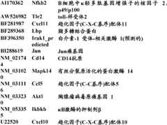 Figure BDA0000057170160002281