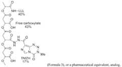 Figure imgf000004_0001