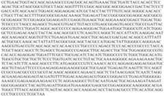 Figure PCTCN2022073808-appb-000064