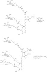 Figure US11896674-20240213-C00099