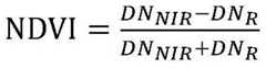 Figure BDA0002213282160000023