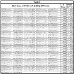 Figure imgf000017_0001