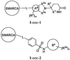 Figure BDA0003783300830001252