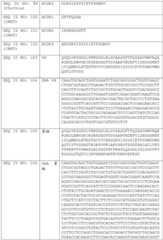 Figure BDA0002591526010000521