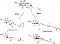 Figure imgf000079_0001
