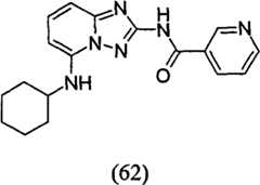 Figure GPA00001035513100911