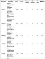 Figure imgf000048_0001