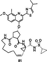 Figure BSA00000676350900852