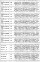 Figure GDA0003420037120000541