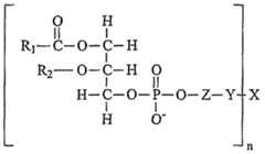Figure imgf000052_0001