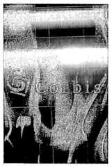 Figure 112005510106899-PCT00365