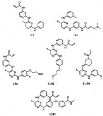 Figure FPA00001280125500571