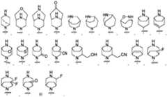 Figure PCTCN2022124111-appb-000173