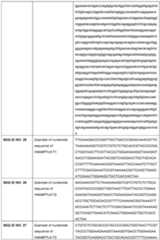 Figure imgf000027_0001