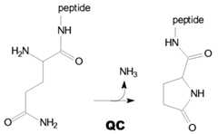 Figure imgf000004_0001