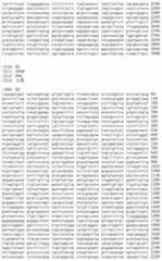 Figure IDA00002091897101041