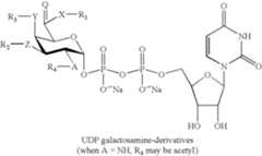 Figure US07214660-20070508-C00115