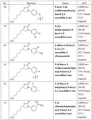 Figure imgf000043_0001