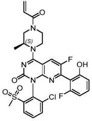 Figure BDA0002861043520000742