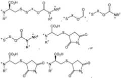 Figure imgf000011_0001