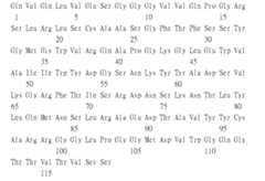 Figure 109115264-A0305-02-0297-332