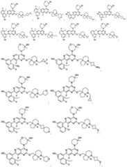 Figure imgf000026_0001