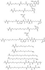 Figure BDA0001120556480000151