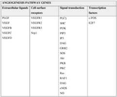 Figure imgf000240_0001