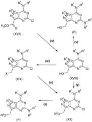 Figure imgf000053_0001