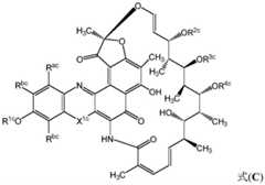 Figure BDA0002889616220000761