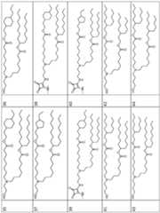 Figure imgf000283_0001