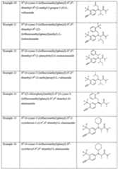 Figure imgf000009_0001