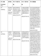 Figure BDA0004089703340000781