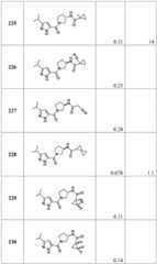 Figure BDA0001316473010002021