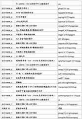 Figure BDA0001349734580003901