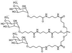 Figure imgf000053_0002