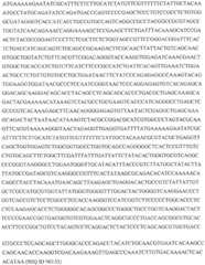 Figure GDA0002870045410000931