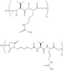 Figure US08512707-20130820-C00038