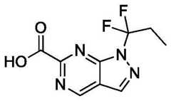 Figure BDA0002731674970000681