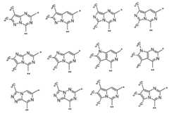 Figure 0007050759000119