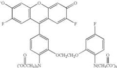 Figure US07102005-20060905-C00008