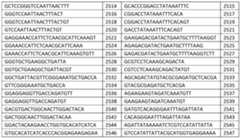 Figure imgf000079_0001