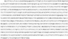 Figure PCTCN2022122839-appb-000011