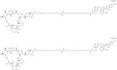 Figure US12048749-20240730-C00357