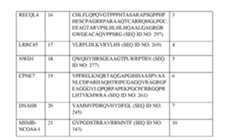 Figure imgf000181_0001