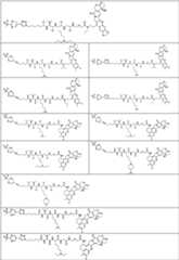 Figure PCTCN2022073822-appb-000363