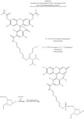 Figure US06312894-20011106-C00026