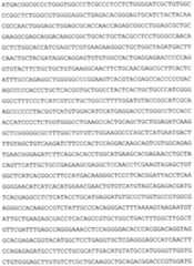 Figure 112020024997108-pat00010