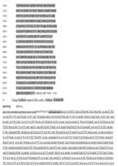 Figure imgf000085_0001