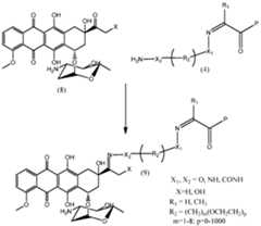 Figure imgf000057_0002